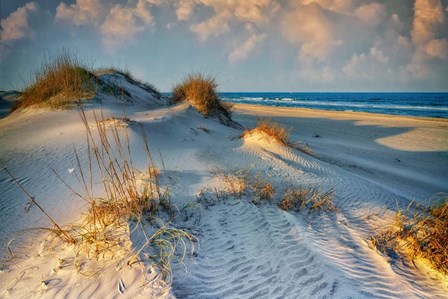 The Dunes of OBX by Rick Berk art print