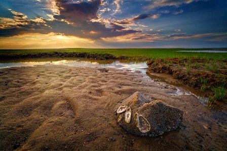 Sunset on Paines Creek Beach by Rick Berk art print