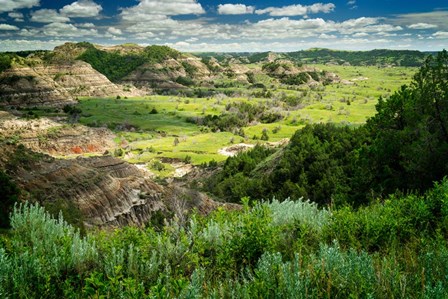 Little Missouri Badlands by Rick Berk art print