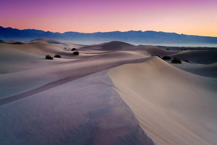 Into The Dunes by Rick Berk art print