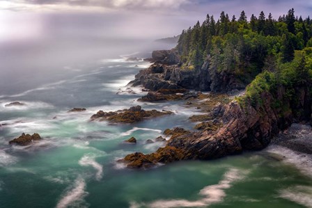 Along The Cutler Coast by Rick Berk art print