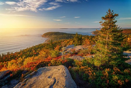 Autumn Morning on Gorham Mountain by Rick Berk art print