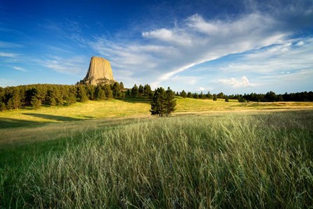 Devils Tower by Rick Berk art print