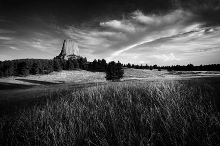 Devils Tower Black &amp; White by Rick Berk art print