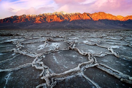 Badwater Morning by Rick Berk art print