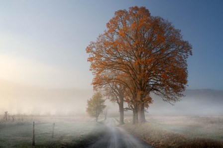 Autumn on Hyatt Lane by Rick Berk art print