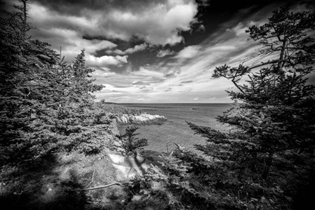 Autumn Afternoon At West Quoddy Head by Rick Berk art print