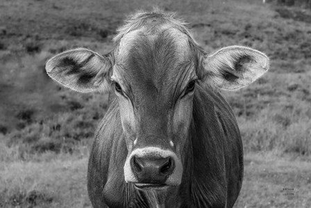 Dairy Barn BW by Nathan Larson art print