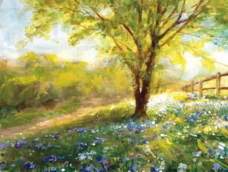 Field of Bluebells by Danhui Nai art print