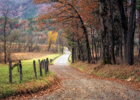 Autumn Drive I by Danny Head art print