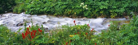 Grand Teton Park, Wyoming by Panoramic Images art print