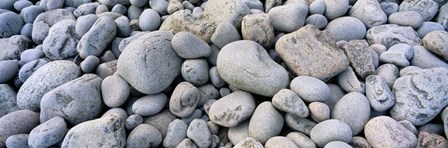 Beach Rocks Acadia National Park by Panoramic Images art print