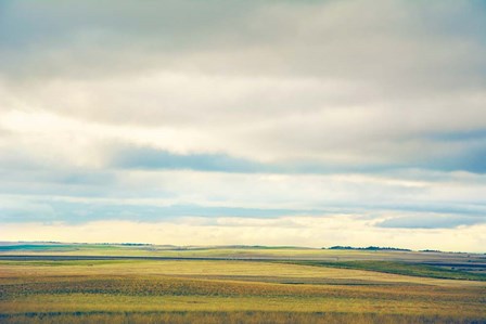 Farmland Plains by Annie Bailey Art art print