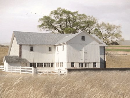 White Summer Barn by Lori Deiter art print