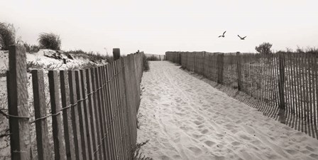 Beach Path by Lori Deiter art print