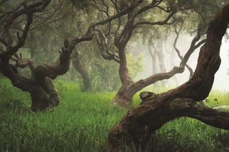 Dancing by Martin Podt art print