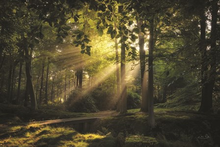 Bridge to the Light by Martin Podt art print