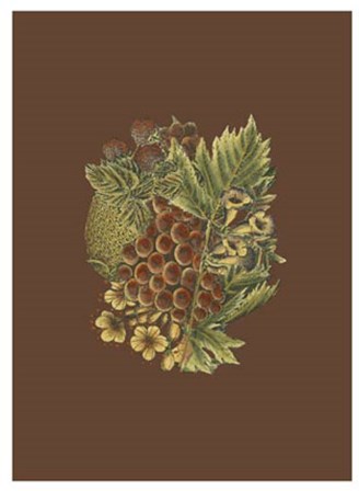 Fruit on Burgundy I art print