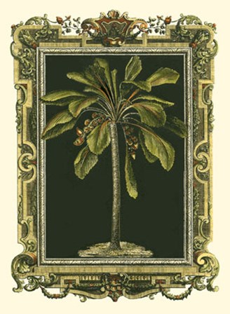 Decorative Framed Palm II art print