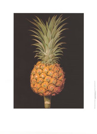 Brookshaw&#39;s Exotic Pineapple II by George Brookshaw art print