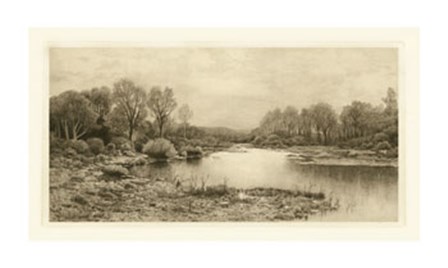 Tranquil Riverscape IV art print