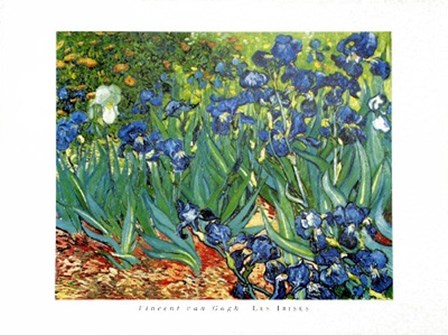 Les Irises by Vincent Van Gogh art print