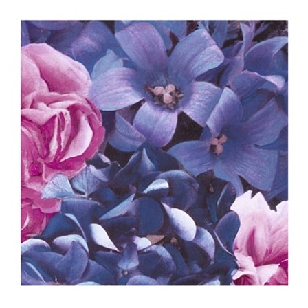 Pink and Blue Flowers by Jenny Dreifuss art print