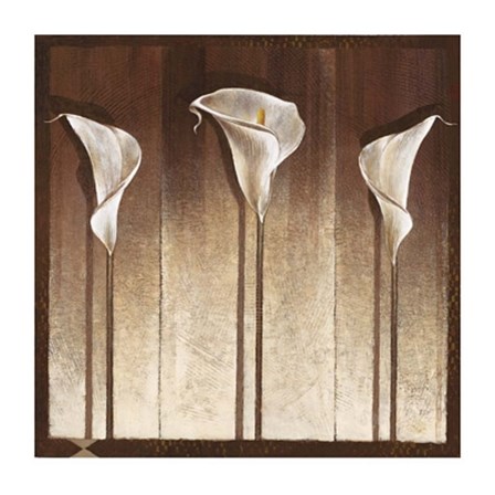 Three Calla Lilies by Mira Latour art print