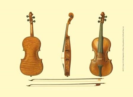 Antique Violins II by William Gibb art print