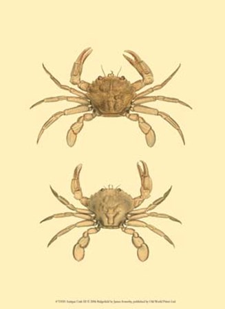 Antique Crab III by James Sowerby art print