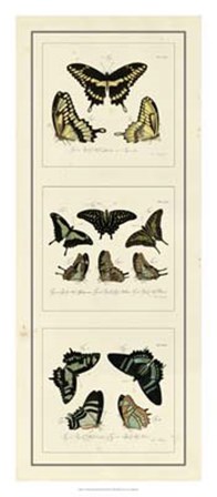 Antique Butterfly Panel II by Jablonsk art print