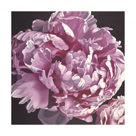 Peony I by Elizabeth Hellman art print