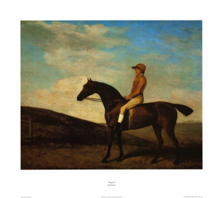 Rosaletta by George Stubbs art print