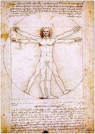 Human Proportions-Vitruvian Man by Leonardo Da Vinci art print