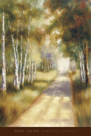 Peaceful Passage by Marc Lucien art print