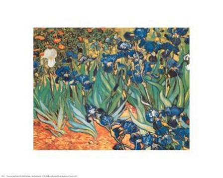 Iris Garden by Vincent Van Gogh art print