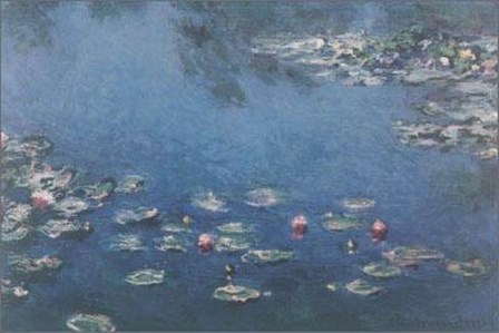 Waterlillies by Claude Monet art print