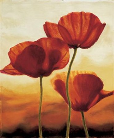 Poppies In Sunlight I by Andrea Kahn art print