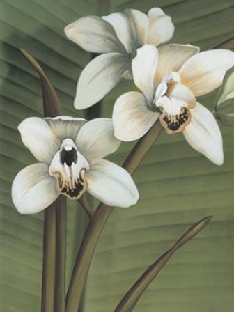 Orchid with Palm I by Andrea Trivelli art print