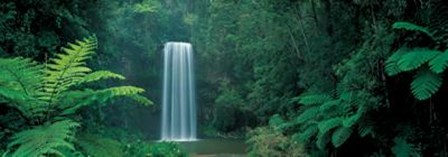 Millaa Millaa Falls, Queensland, Austral art print