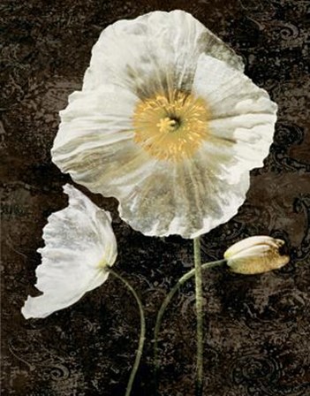 Poppies II by John Seba art print