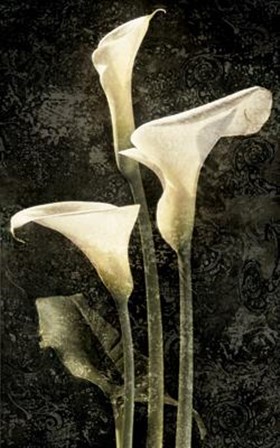 Callas II by John Seba art print