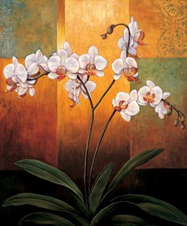 Orchids by Jill Deveraux art print