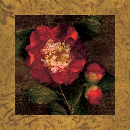 Red Camellias I by John Seba art print