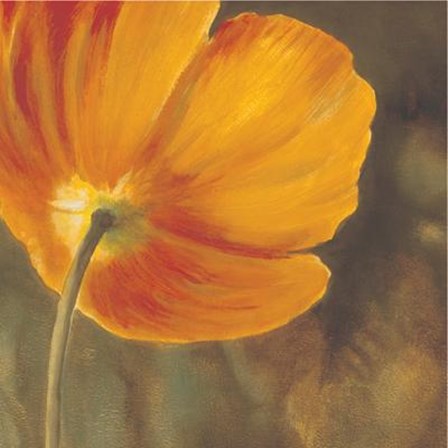 Coquelicots Dans Le Soleil III by Pierre Viollet art print