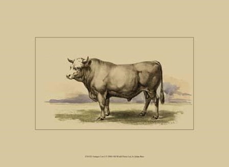 Antique Cow I by Julian Bien art print