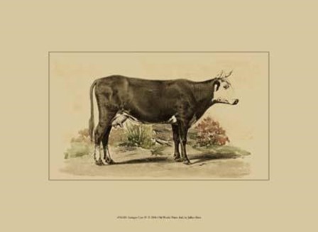 Antique Cow IV by Julian Bien art print