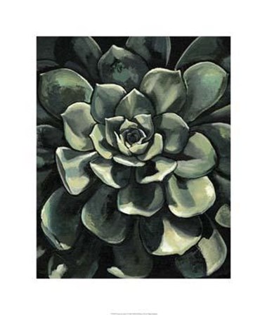 Lunar Succulent I by Megan Meagher art print