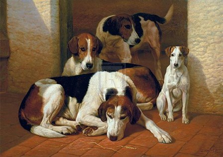 Foxhounds and a Terrier by Edward Algernon Stuart Douglas art print