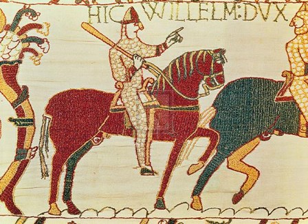 Bayeaux Tapestry Detail a art print